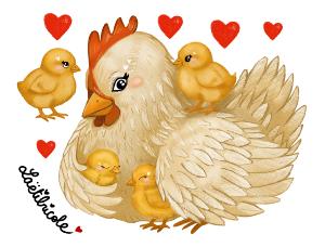 Transfert maman poule