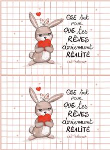 Coupon MINI pochette lapin coeur x 2
